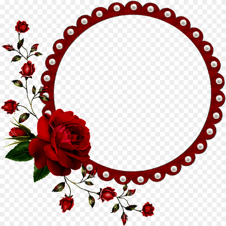Red Flower Circle Frame, Plant, Rose, Oval, Pattern Free Png