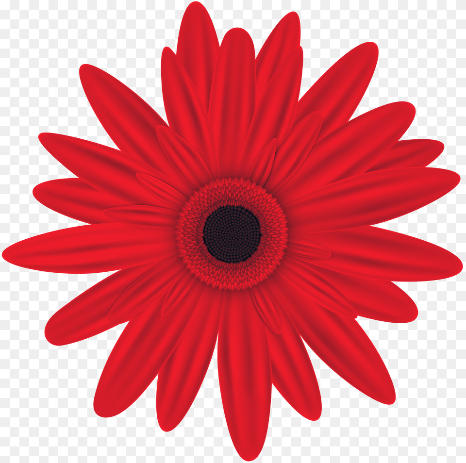 Red Flower Clip Art Png Image