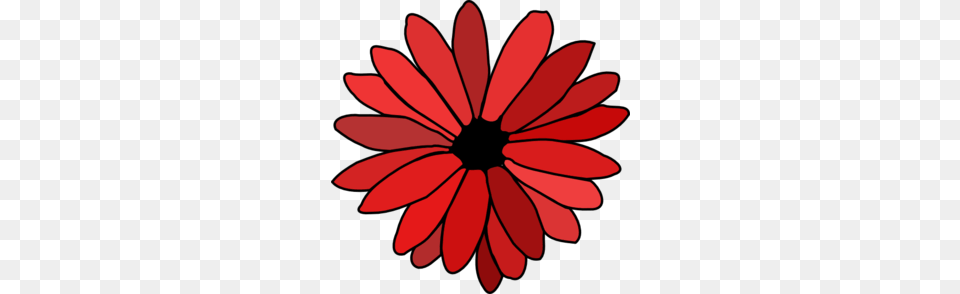 Red Flower Clip Art, Daisy, Petal, Plant, Dahlia Png