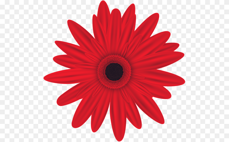 Red Flower Clip Art Aa Flores In Flower, Daisy, Plant, Petal Png
