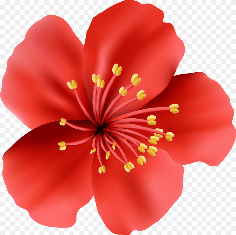 Red Flower Clip Art Image Gallery Yopriceville High Png