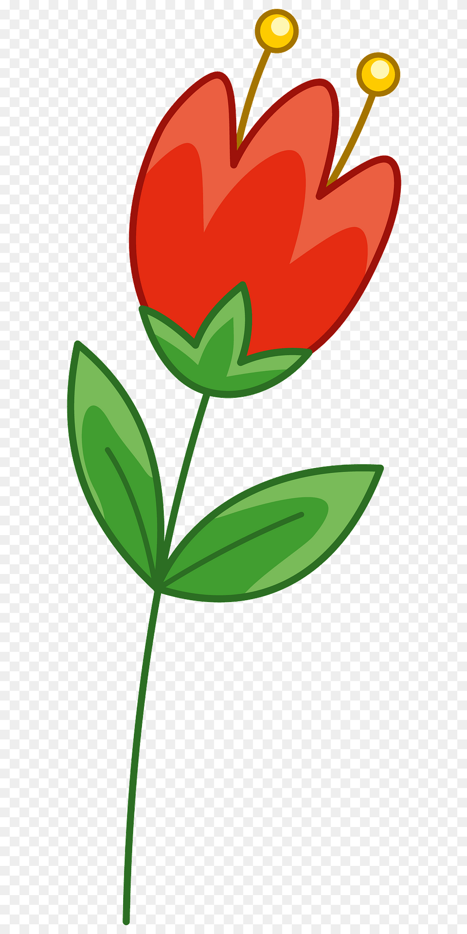 Red Flower Clipart, Plant, Petal, Leaf, Anther Free Png