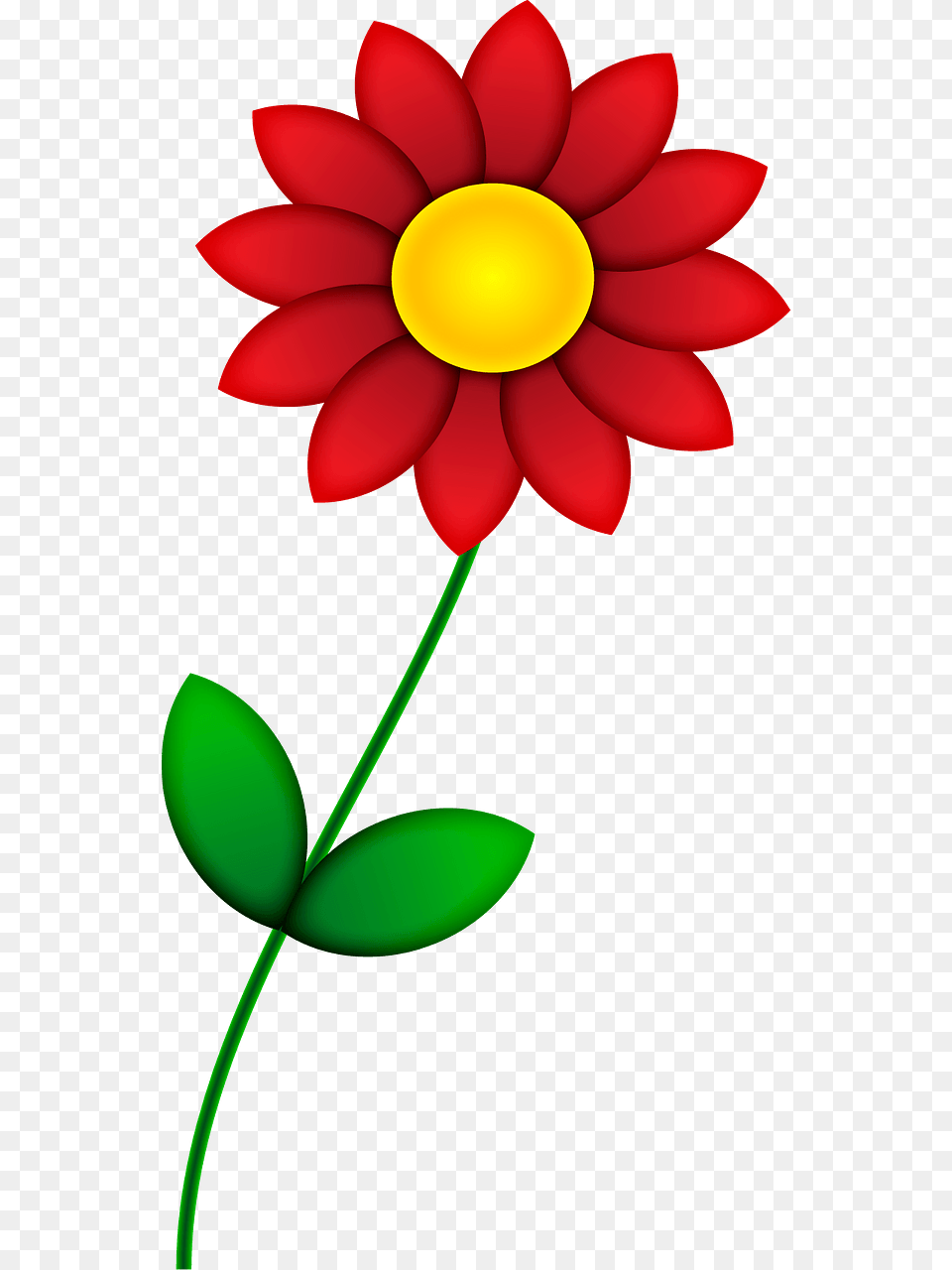 Red Flower Clipart, Dahlia, Daisy, Petal, Plant Png Image