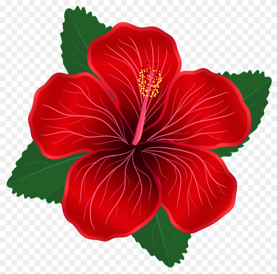 Red Flower Clipart Free Png