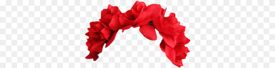 Red Flower Clipart Tumblr Flower Crown, Petal, Plant, Carnation, Rose Png
