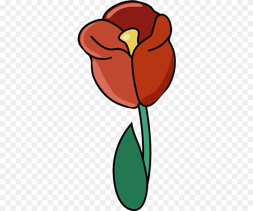 Red Flower Clipart Download Creazilla Clip Art, Petal, Plant, Tulip, Person Free Png