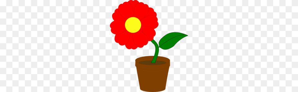 Red Flower Clipart Flower Plant, Petal, Daisy, Potted Plant, Leaf Png