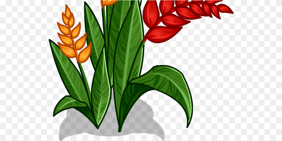 Red Flower Clipart Jungle Download Full Size Amazon Rainforest Flower Drawings, Art, Graphics, Plant, Leaf Png