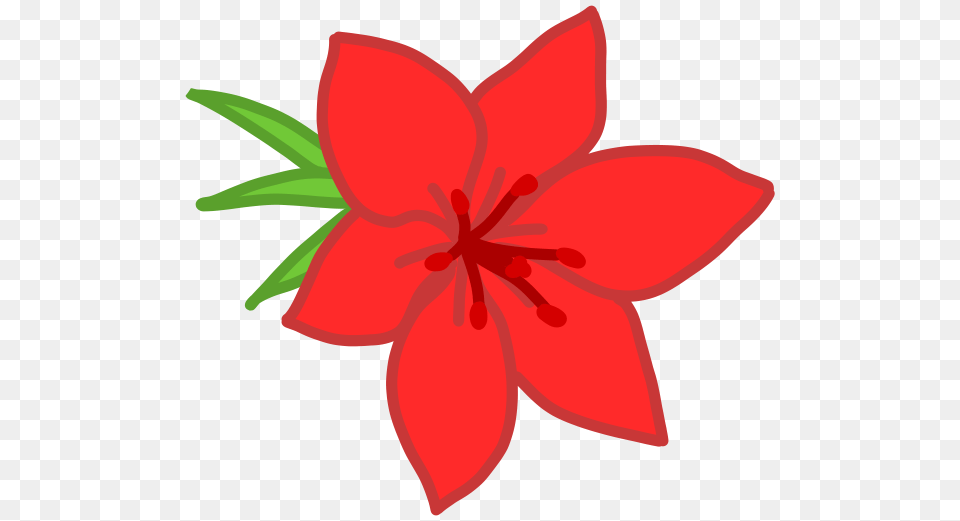 Red Flower Clipart Kid, Plant, Lily, Animal, Fish Png