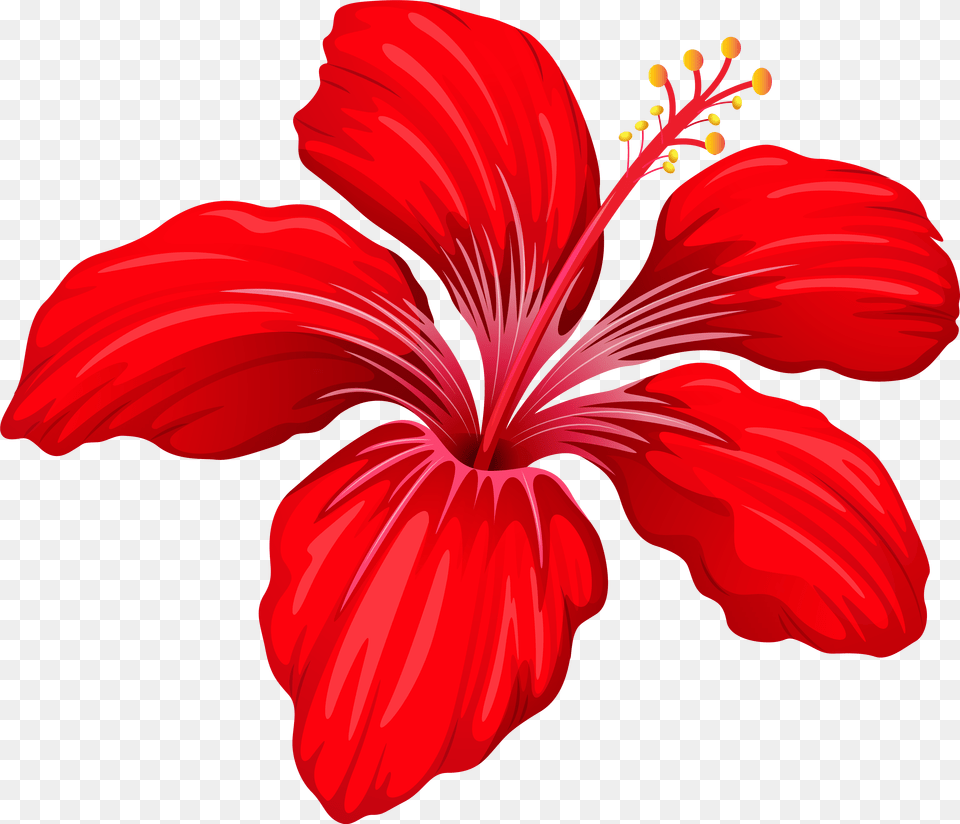 Red Flower Clipart Transparent Twilight X Double Diamond, Hibiscus, Plant, Petal, Person Free Png
