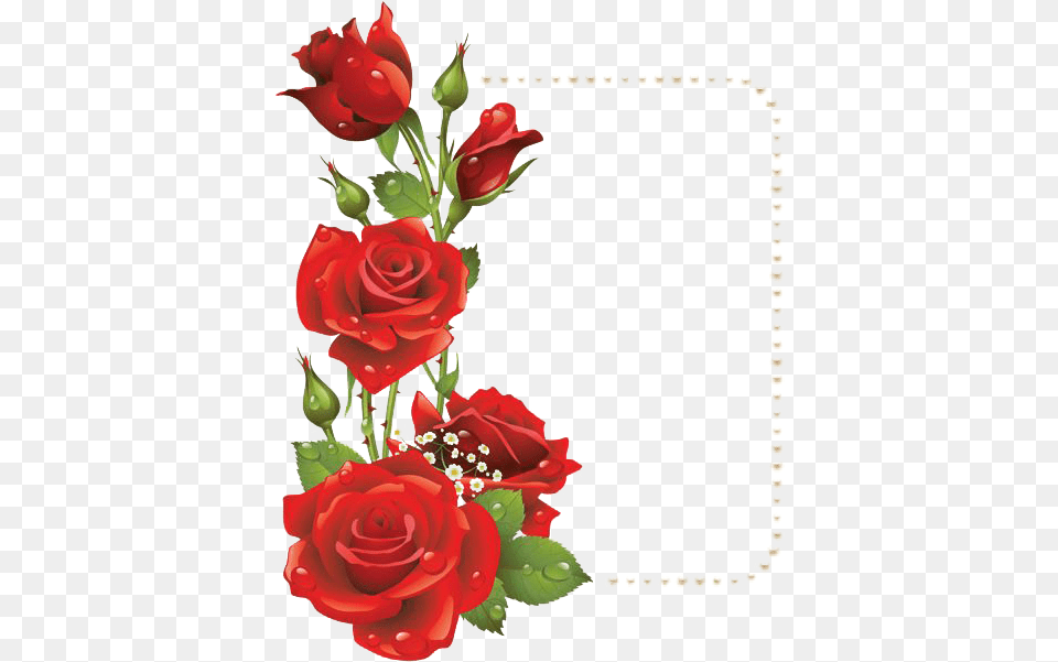 Red Flower Frame File 1 For Designing Purpose Rose Flower Frames Design, Plant, Art, Floral Design, Graphics Free Transparent Png