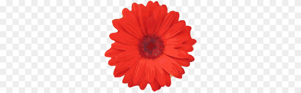 Red Flower Pedals Clip Art, Dahlia, Daisy, Petal, Plant Free Png