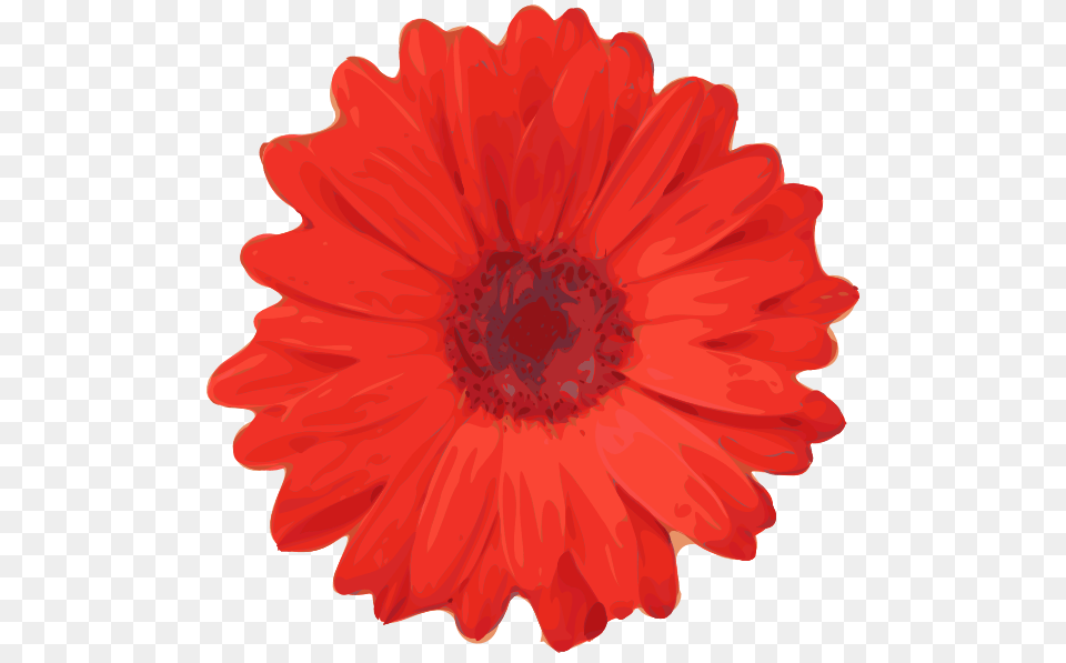 Red Flower Pedals Clip Art Vector, Dahlia, Daisy, Petal, Plant Png Image