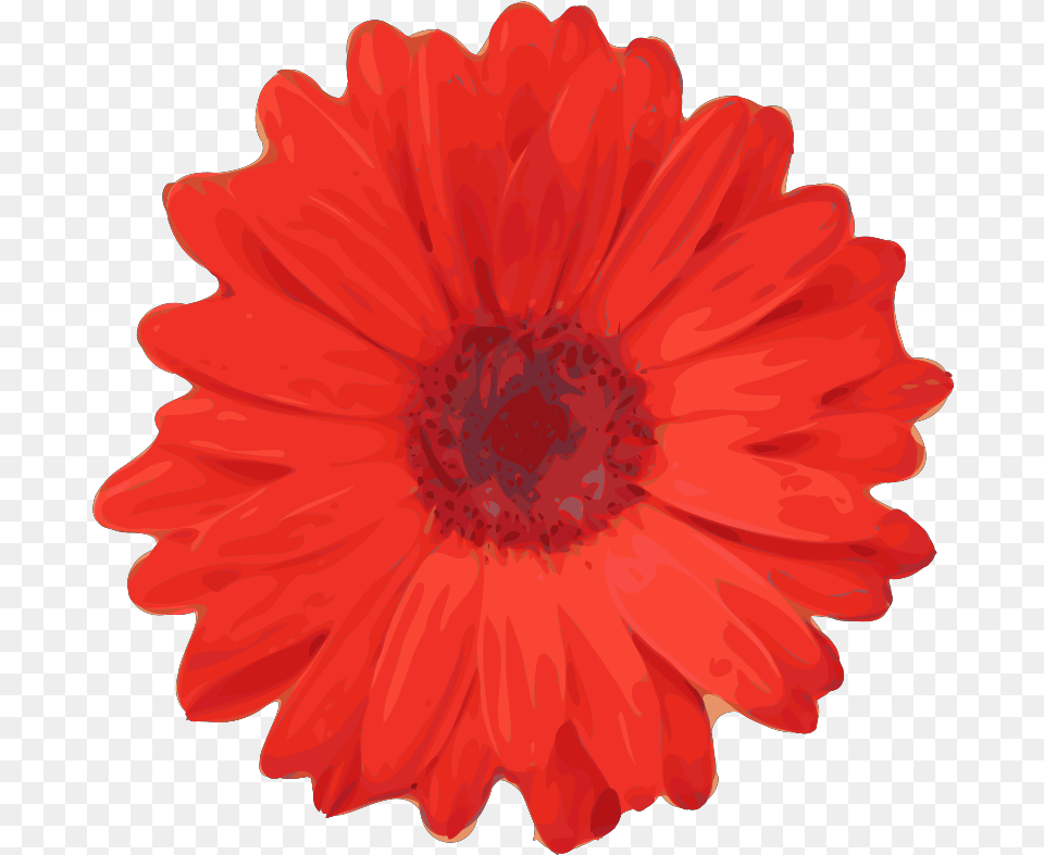 Red Flower Pedals Svg Vector Clip Art Red Flower Clip Art, Daisy, Petal, Plant, Dahlia Free Png Download