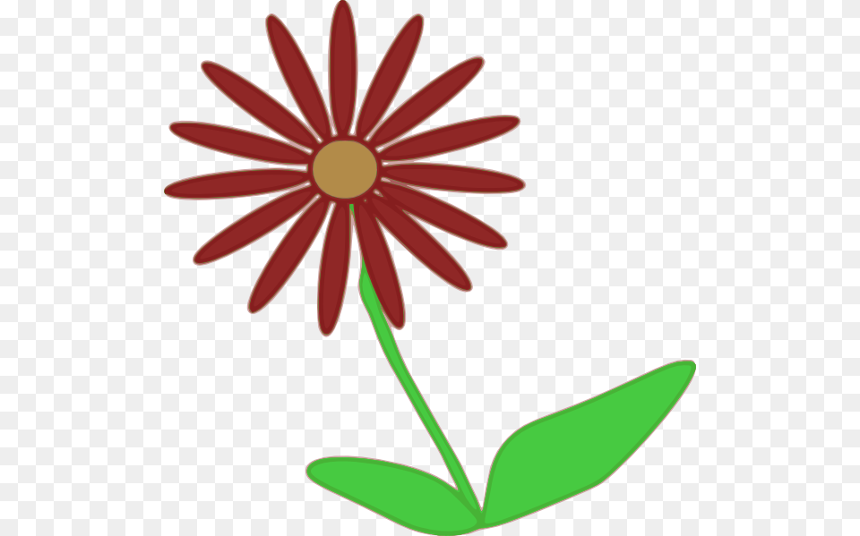 Red Flower Stem Clipart For Web, Daisy, Plant, Petal Png