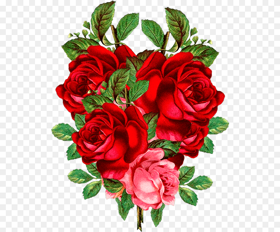 Red Flower Flower Arrangement, Flower Bouquet, Plant, Rose Free Transparent Png