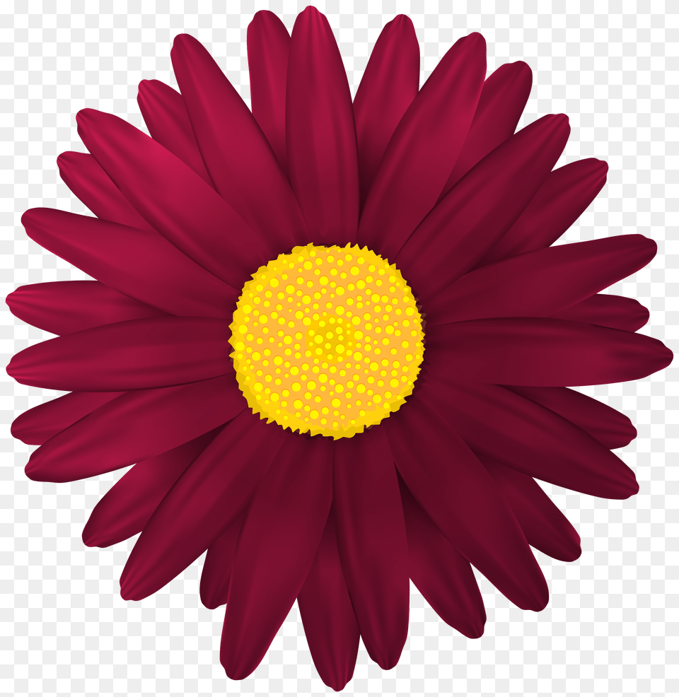 Red Flower Transparent Clip Art Free Png Download