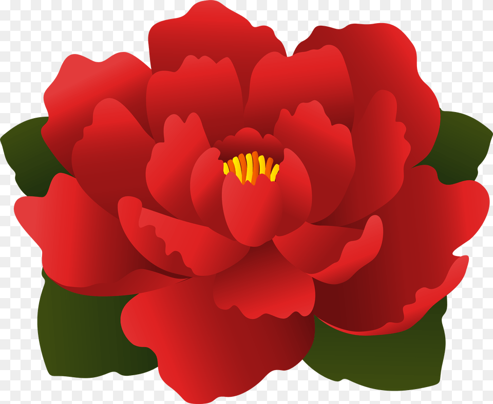 Red Flower Transparent Clip Art, Petal, Plant, Rose, Geranium Free Png Download