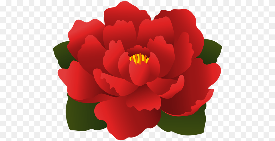 Red Flower Transparent Clip Art Aa Flores Clip Art, Petal, Plant, Rose, Geranium Free Png Download