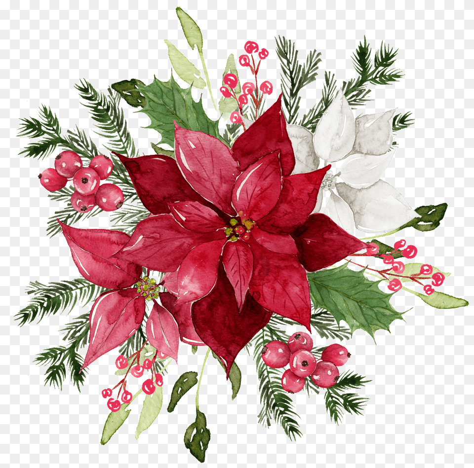 Red Flower Watercolor Hd Watercolor Flower Vector, Art, Floral Design, Flower Arrangement, Flower Bouquet Free Png