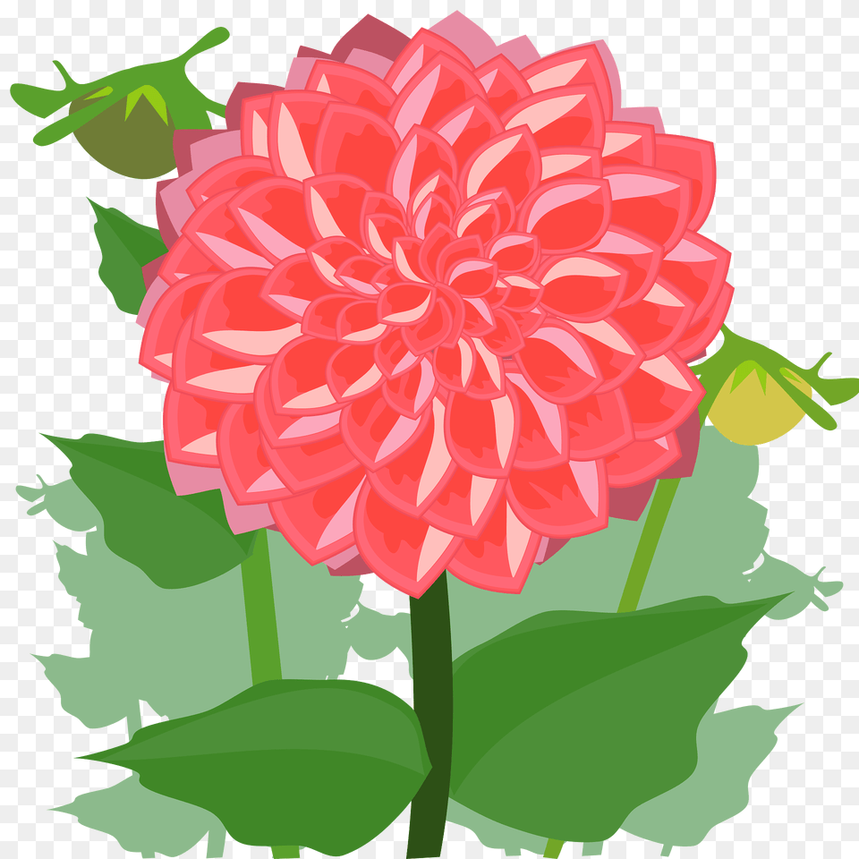 Red Flower With Stem And Leaves Clipart, Dahlia, Plant, Dynamite, Weapon Free Png Download