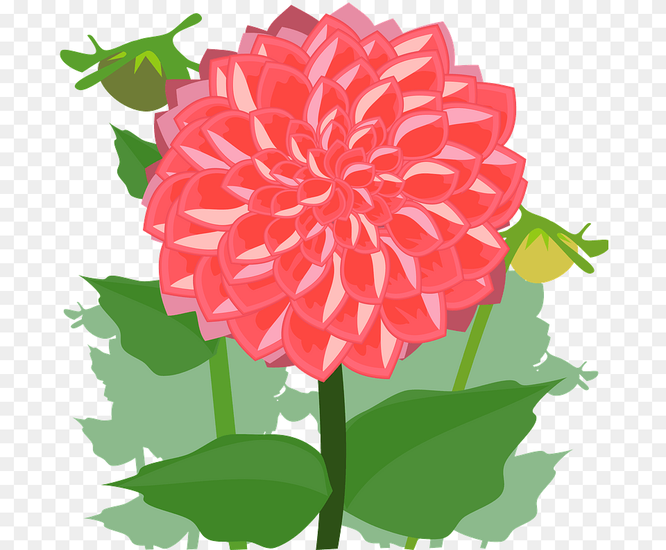 Red Flower With Stem And Leaves Clipart Flower Dahlia Clipart, Plant Png