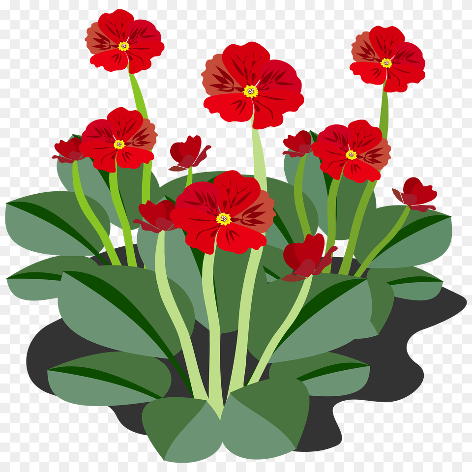 Red Flowers And Stems Clipart, Flower, Plant, Petal, Geranium Png