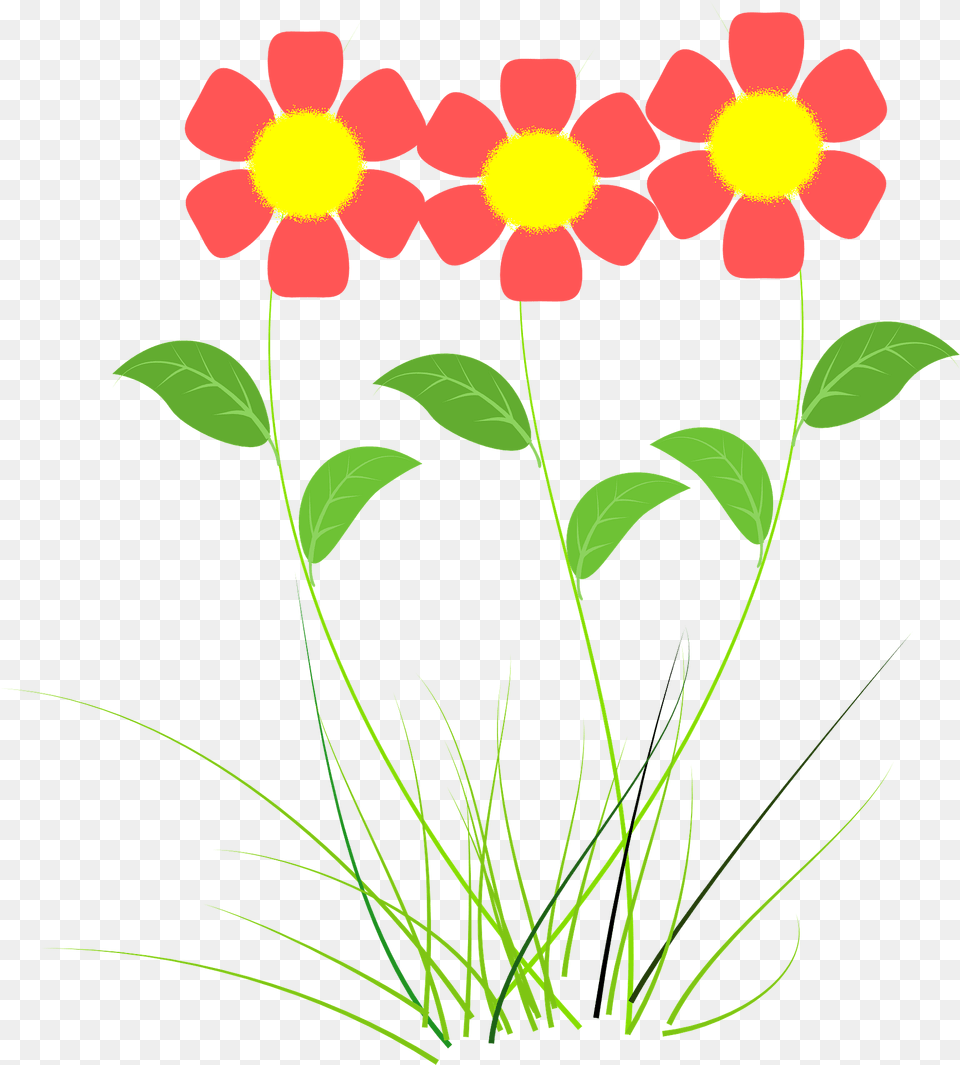 Red Flowers Clipart, Art, Daisy, Floral Design, Flower Free Png Download