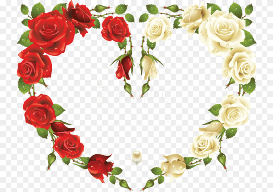 Red Flowers Frame 1 Image Heart Flower Border, Plant, Rose, Art, Floral Design Free Png Download