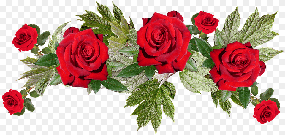 Red Flowers Image With Background Arts Jw Year Text 2020, Flower, Plant, Rose, Flower Arrangement Free Png