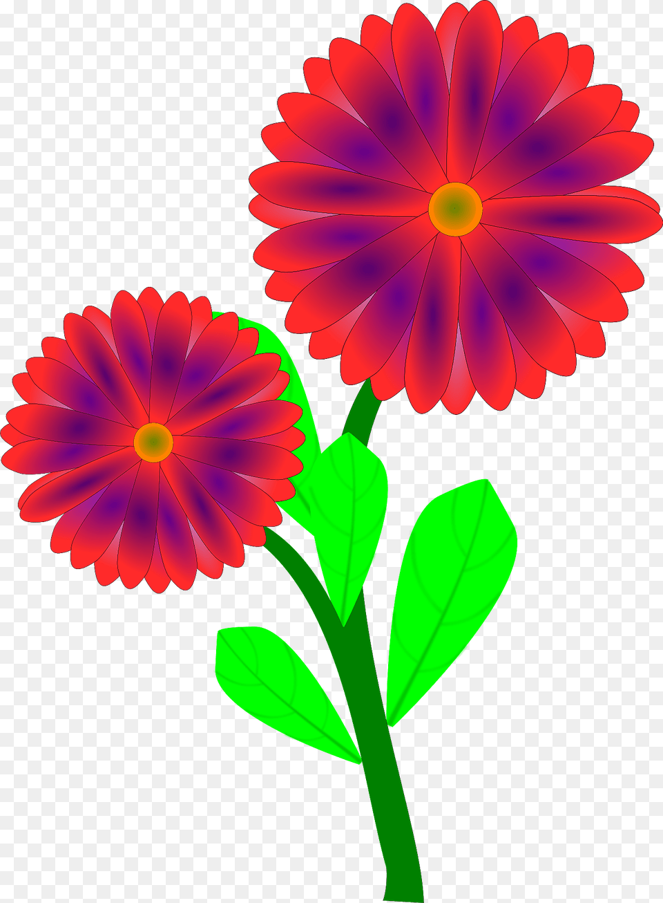 Red Flowers On The Stem Clipart, Daisy, Flower, Petal, Plant Png