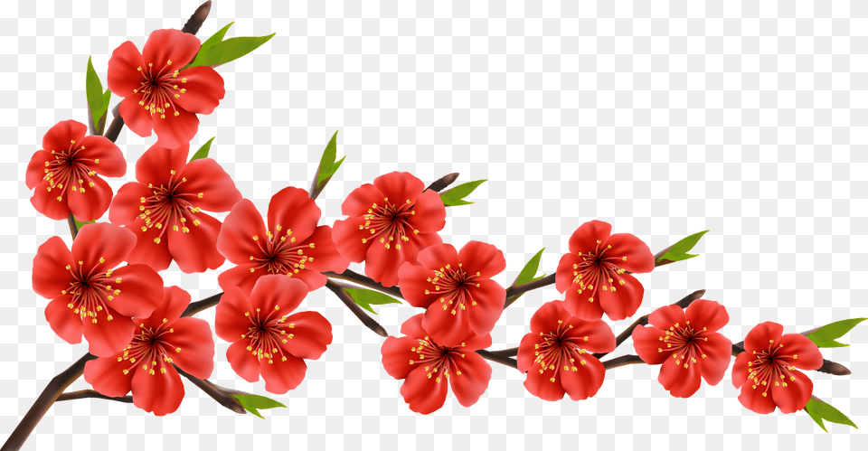 Red Flowers Transparent, Bicycle, Transportation, Vehicle, Machine Png