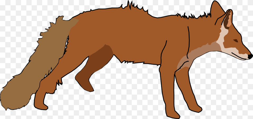 Red Fox, Animal, Coyote, Mammal, Canine Free Transparent Png