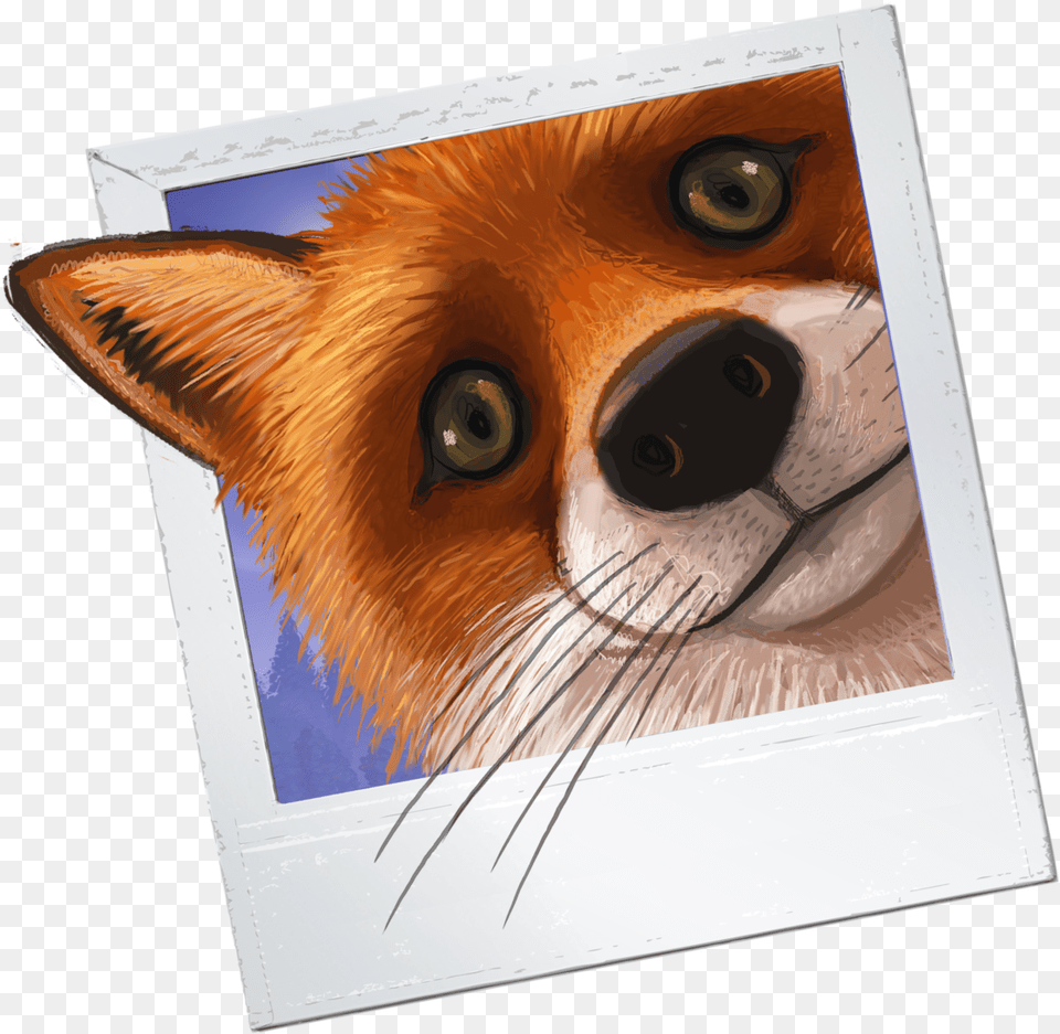 Red Fox, Animal, Bird, Mammal, Wildlife Png