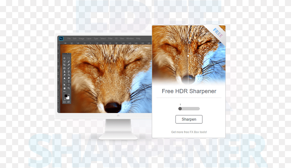 Red Fox, Animal, Canine, Mammal, Red Fox Free Png