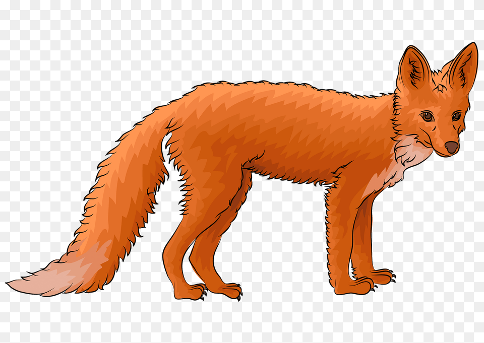 Red Fox Clipart, Animal, Mammal, Wildlife, Canine Png Image
