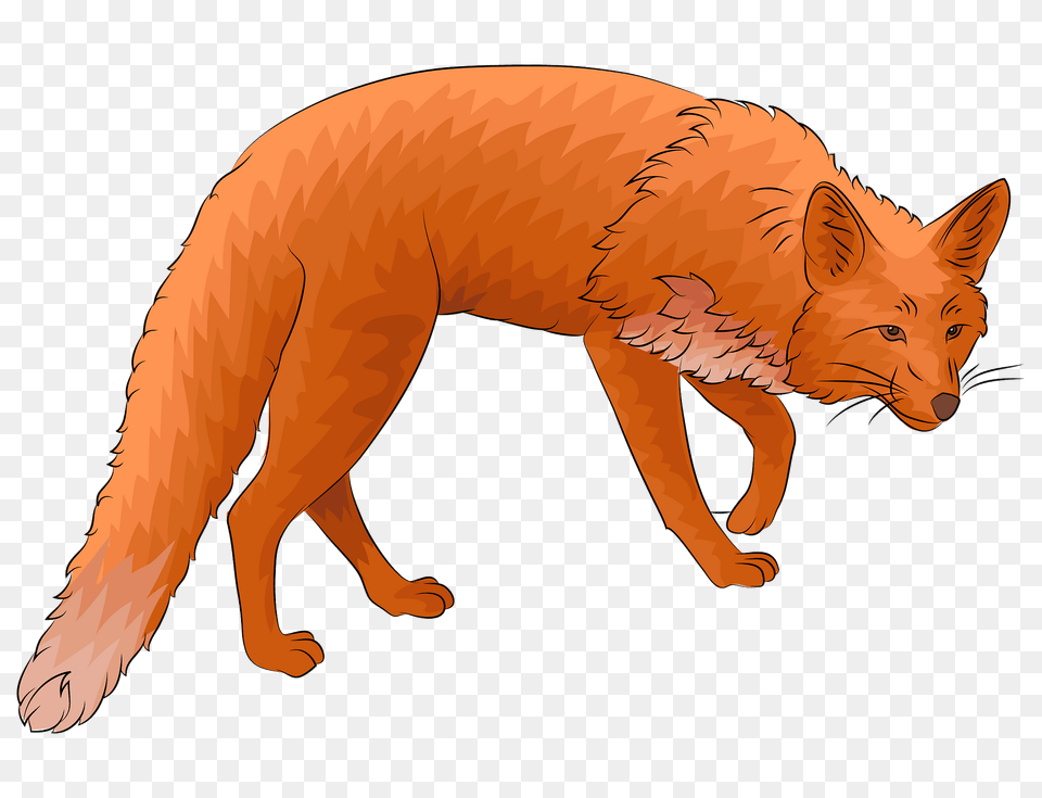 Red Fox Clipart, Animal, Mammal, Wildlife, Lion Png