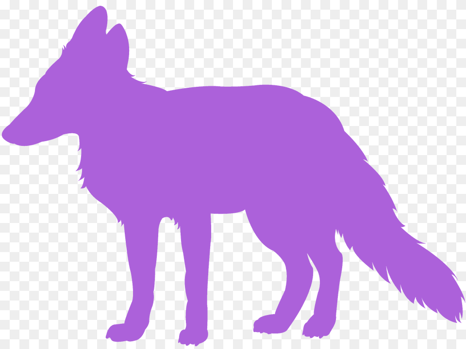 Red Fox Silhouette, Animal, Coyote, Mammal, Pig Png
