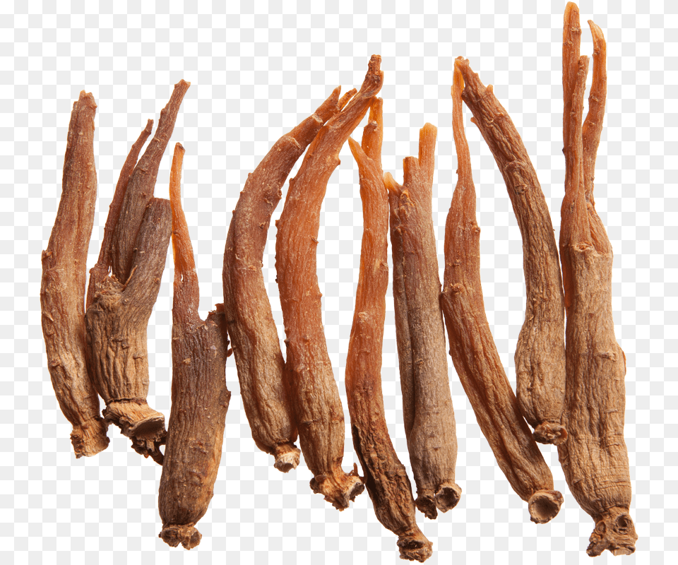 Red Ginseng Root, Wood, Food, Meat, Pork Png Image