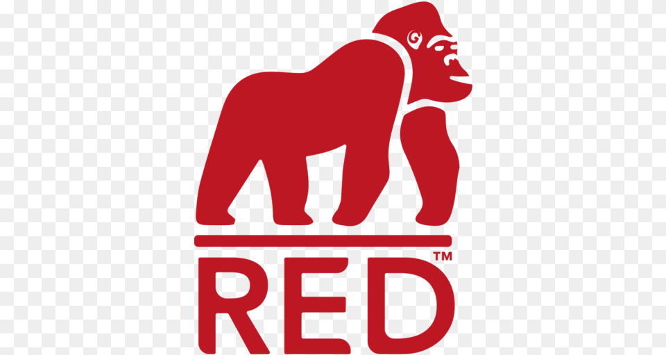 Red Gorilla Archives Red Gorilla Logo, Animal, Ape, Wildlife, Mammal Free Png Download