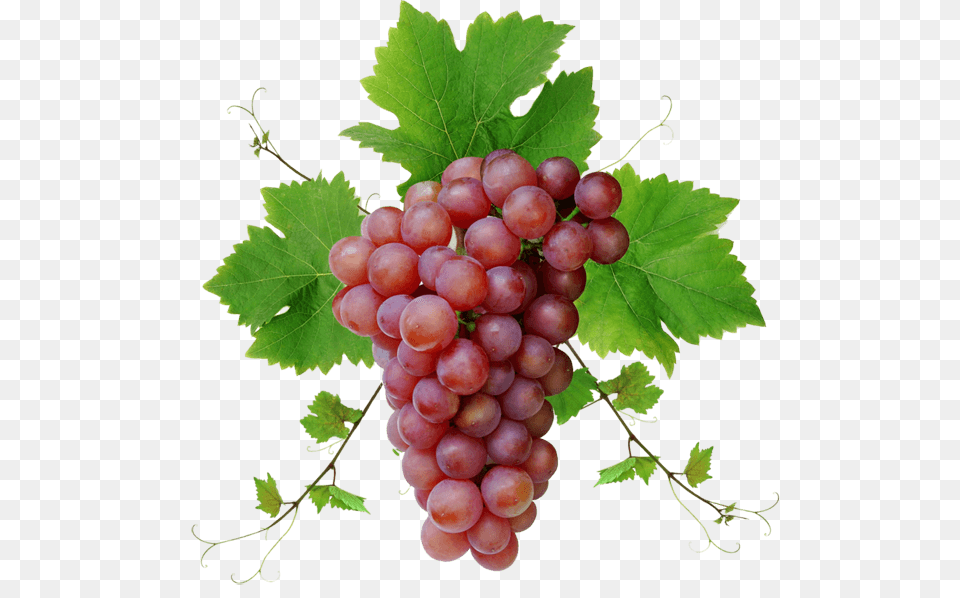 Red Grape With Leaves, Food, Fruit, Grapes, Plant Png