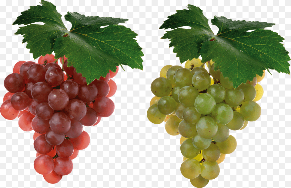 Red Grapes Png Image