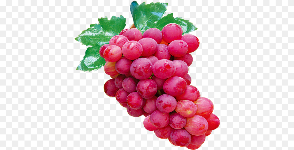 Red Grapes Red Grapes, Food, Fruit, Plant, Produce Png