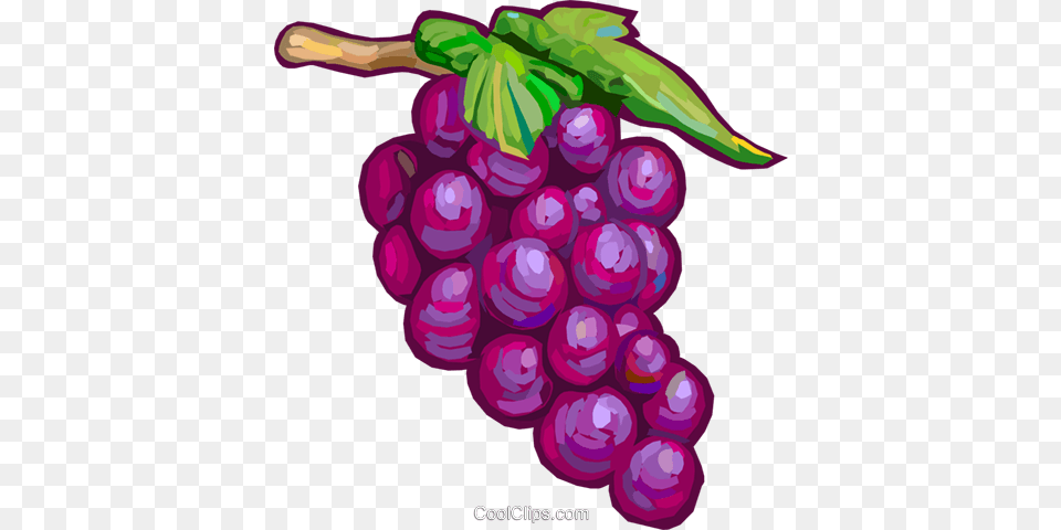 Red Grapes Royalty Vector Clip Art Illustration Rote Trauben Clipart, Food, Fruit, Plant, Produce Free Png