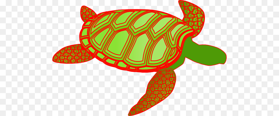 Red Green Turtle Clip Arts For Web, Animal, Reptile, Sea Life, Tortoise Free Transparent Png