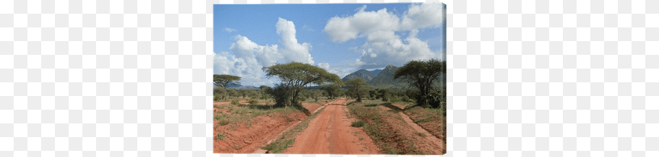Red Ground Road Bush With Savanna Tsavo West National Park, Field, Grassland, Nature, Outdoors Png