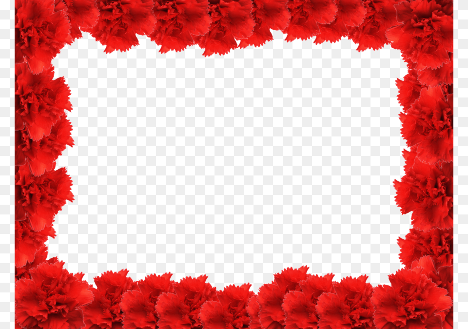 Red Grunge Border Download Flower Photo Frame, Carnation, Plant Free Png