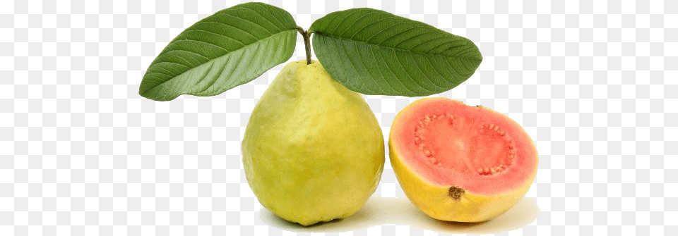 Red Guava Transparent Image Guava Pink, Food, Fruit, Plant, Produce Free Png