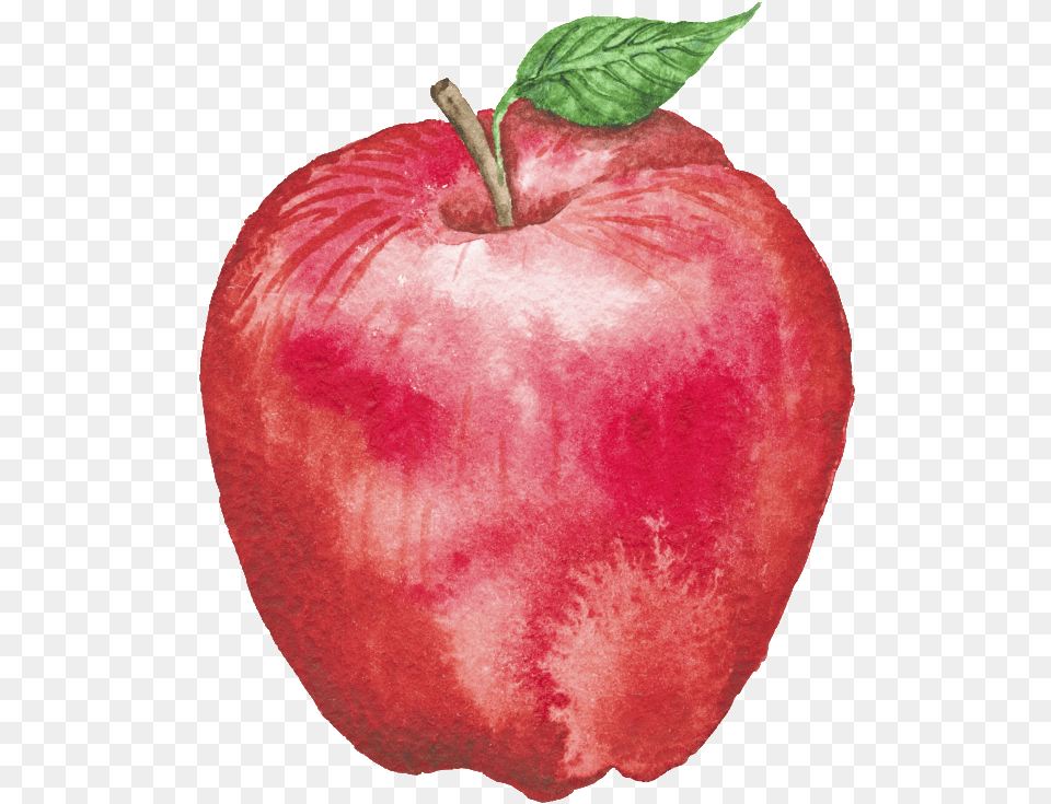 Red Hand Drawn Cartoon Transparent Fruit Mcintosh, Apple, Food, Plant, Produce Png