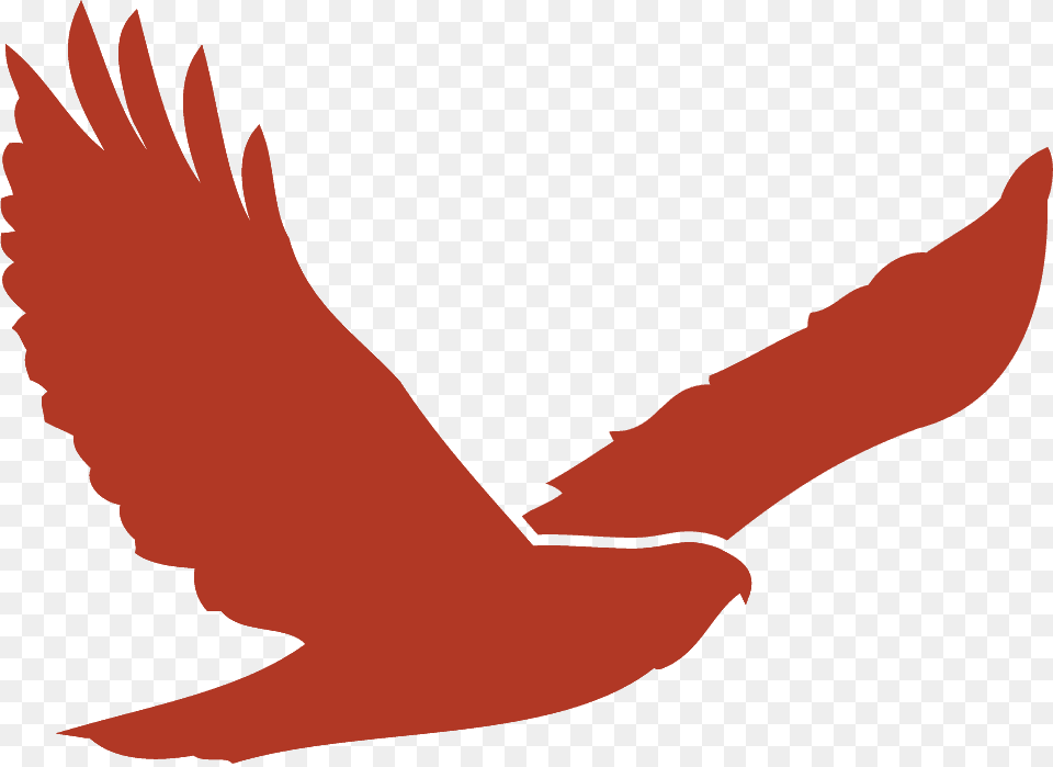 Red Hawk Golf Club, Animal, Bird, Flying, Person Png Image